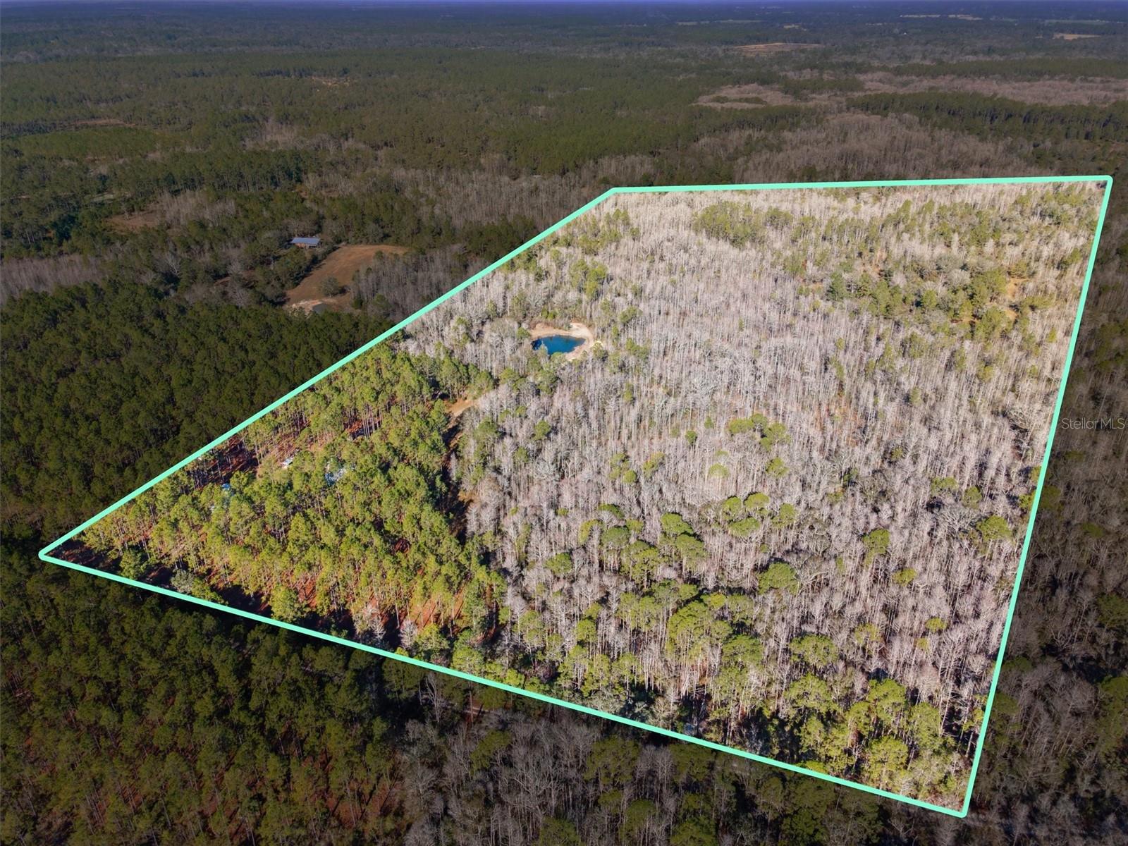 0000 NW CLYATT ROAD, CHIEFLAND, FL, 32626
