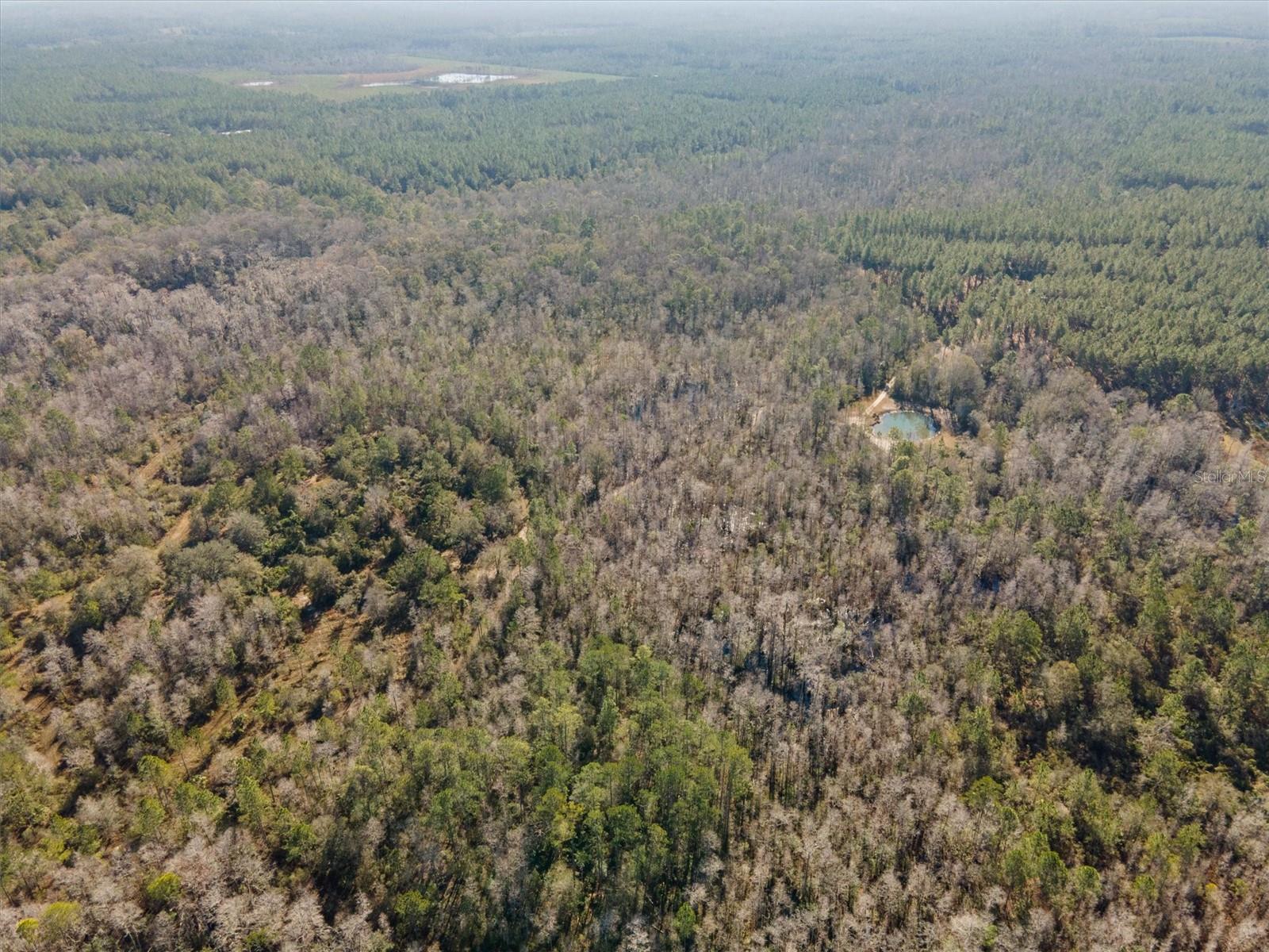 0000 NW CLYATT ROAD, CHIEFLAND, FL, 32626
