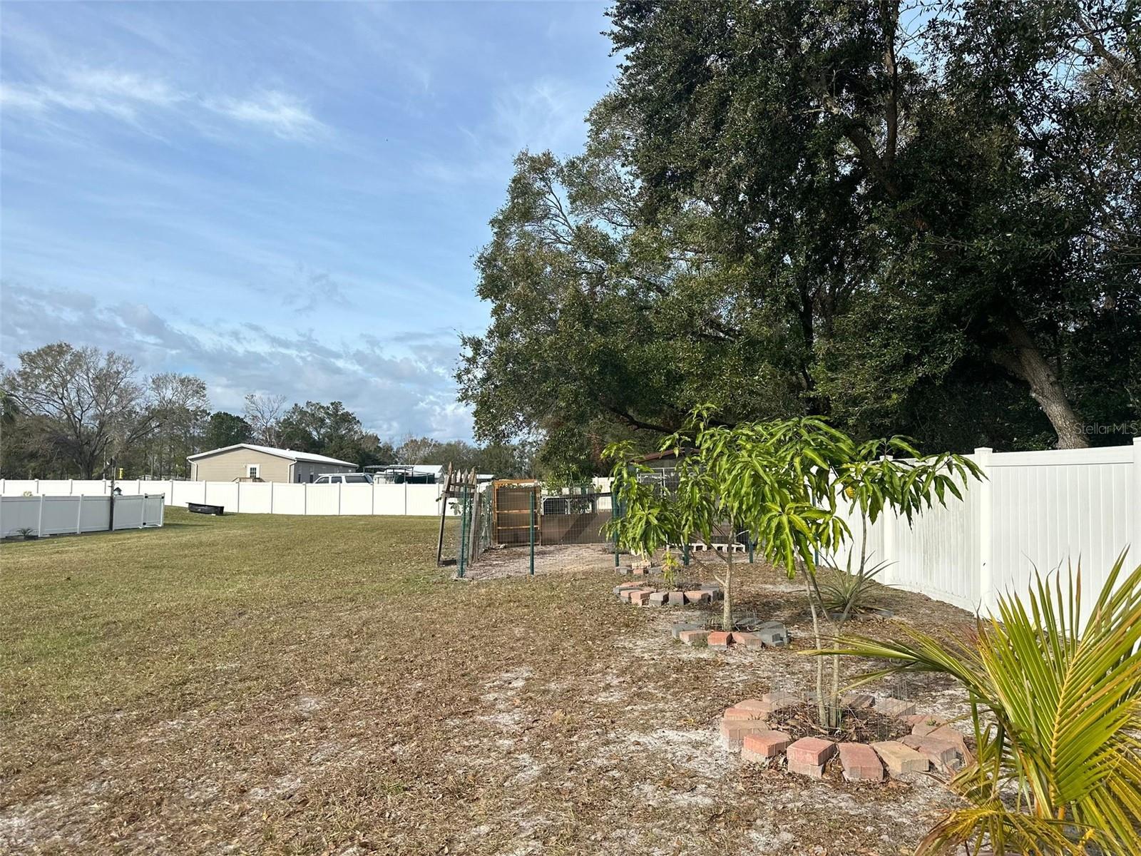 7336 ORCHARD DR, WESLEY CHAPEL, FL, 33545