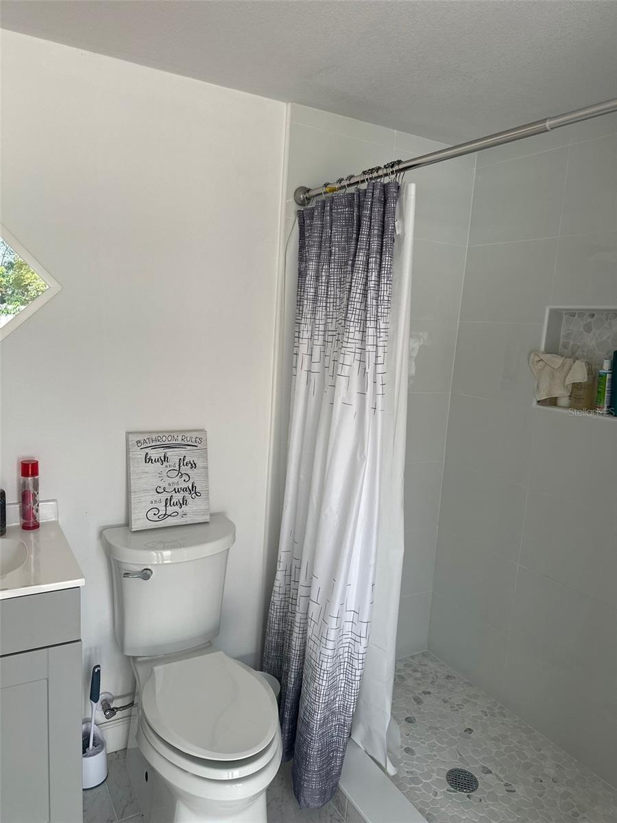 7336 ORCHARD DR, WESLEY CHAPEL, FL, 33545
