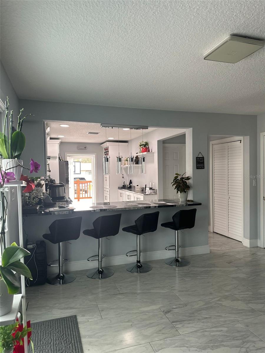 7336 ORCHARD DR, WESLEY CHAPEL, FL, 33545