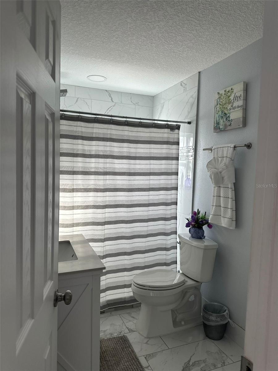7336 ORCHARD DR, WESLEY CHAPEL, FL, 33545