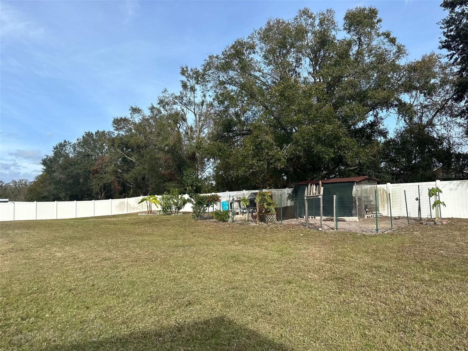 7336 ORCHARD DR, WESLEY CHAPEL, FL, 33545