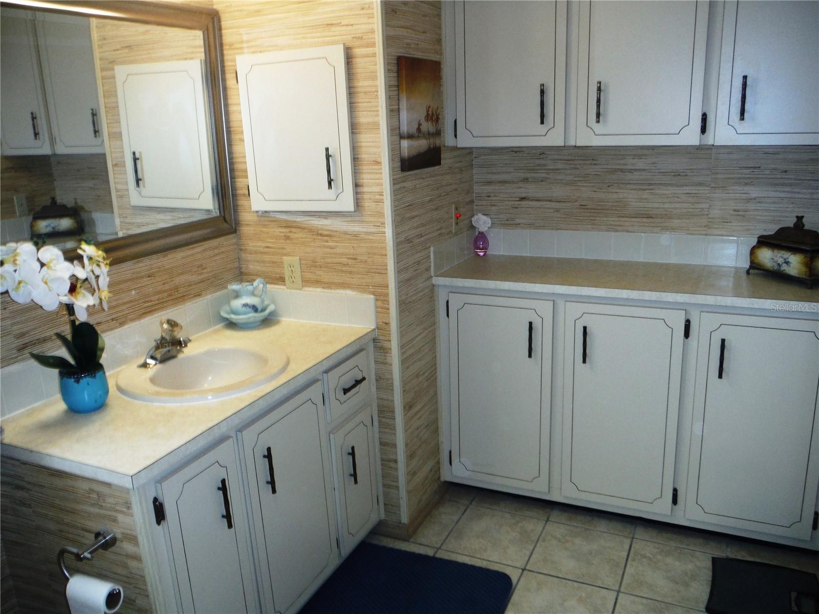 96 NATURES TRL #76, SAFETY HARBOR, FL, 34695