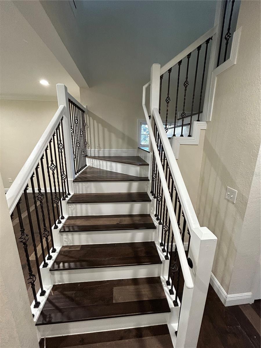 8006 N ROME AVE, TAMPA, FL, 33604