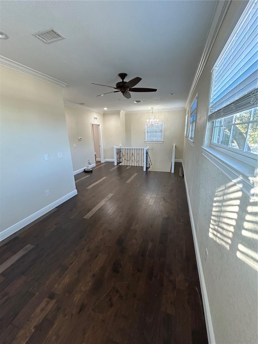 8006 N ROME AVE, TAMPA, FL, 33604