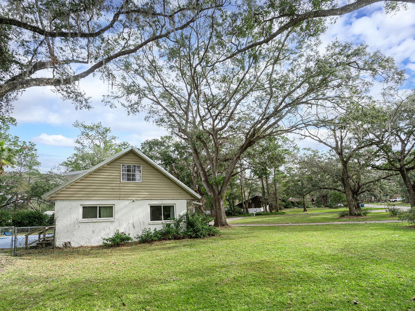 1080 BUENA VISTA AVE, BROOKSVILLE, FL, 34601