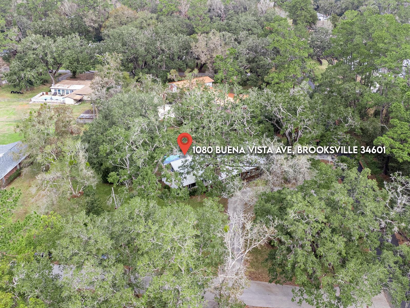 1080 BUENA VISTA AVE, BROOKSVILLE, FL, 34601