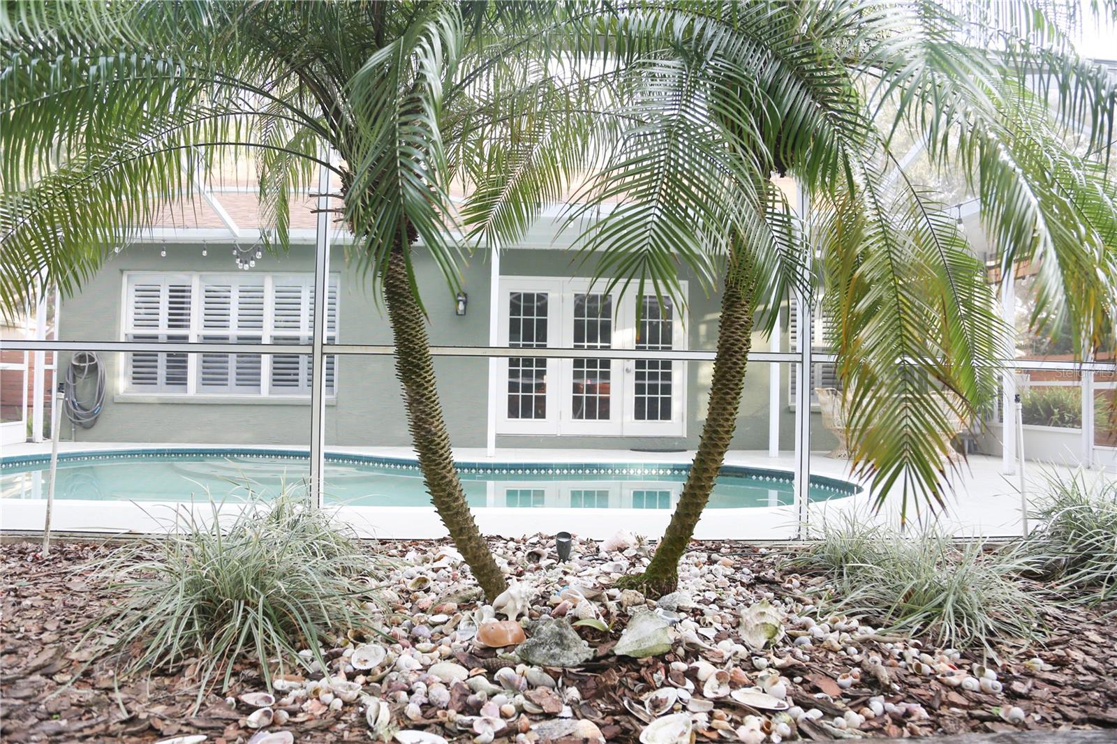 904 HUNTER LN, TARPON SPRINGS, FL, 34689