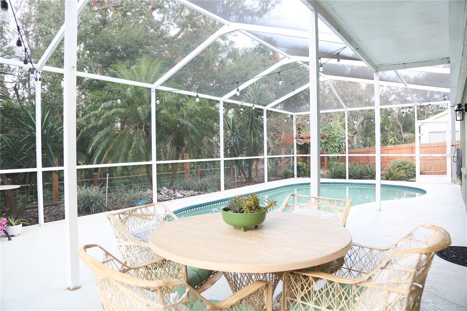 904 HUNTER LN, TARPON SPRINGS, FL, 34689