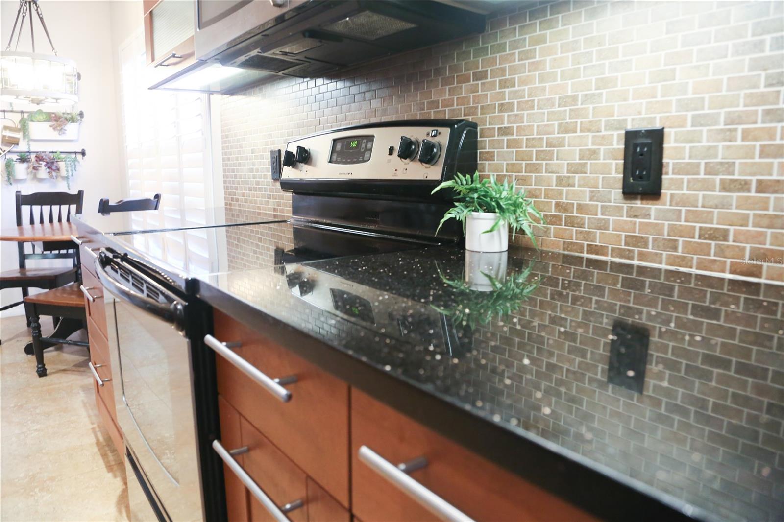 904 HUNTER LN, TARPON SPRINGS, FL, 34689