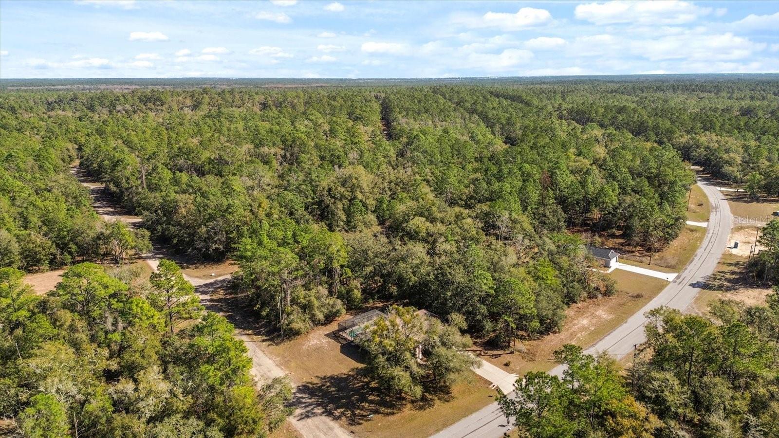 9468 N ATHENIA DR, CITRUS SPRINGS, FL, 34434