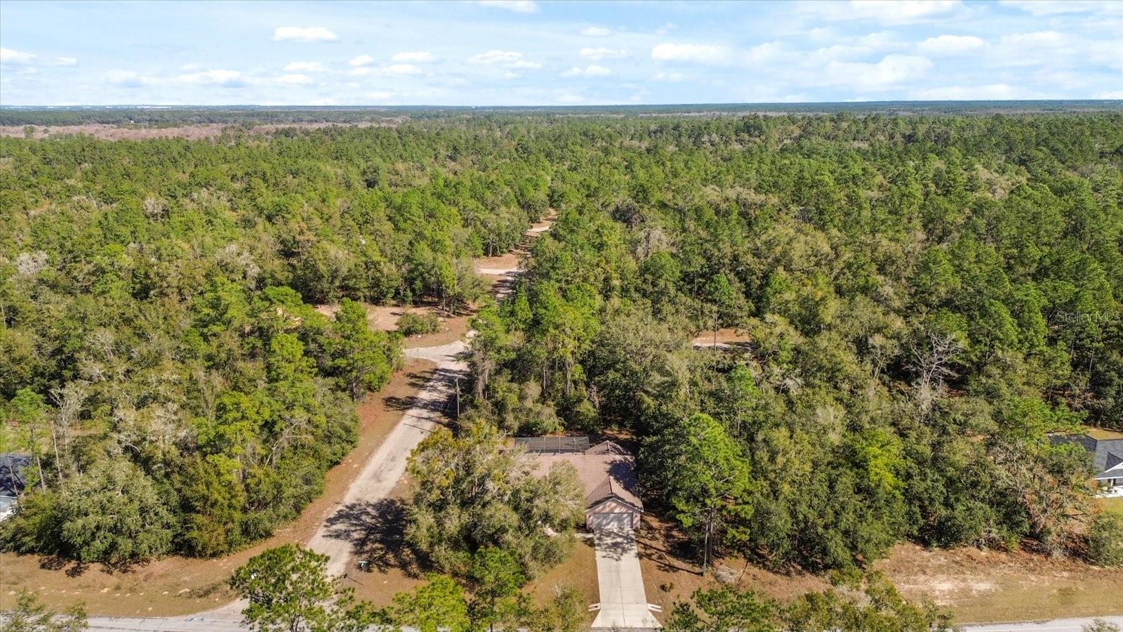 9468 N ATHENIA DR, CITRUS SPRINGS, FL, 34434