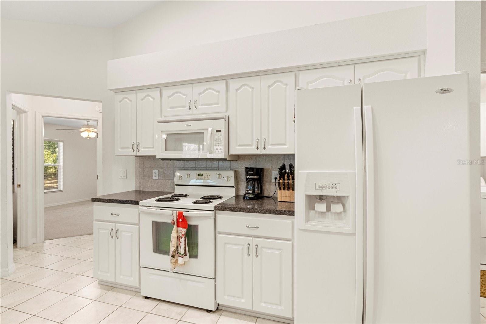 9468 N ATHENIA DR, CITRUS SPRINGS, FL, 34434