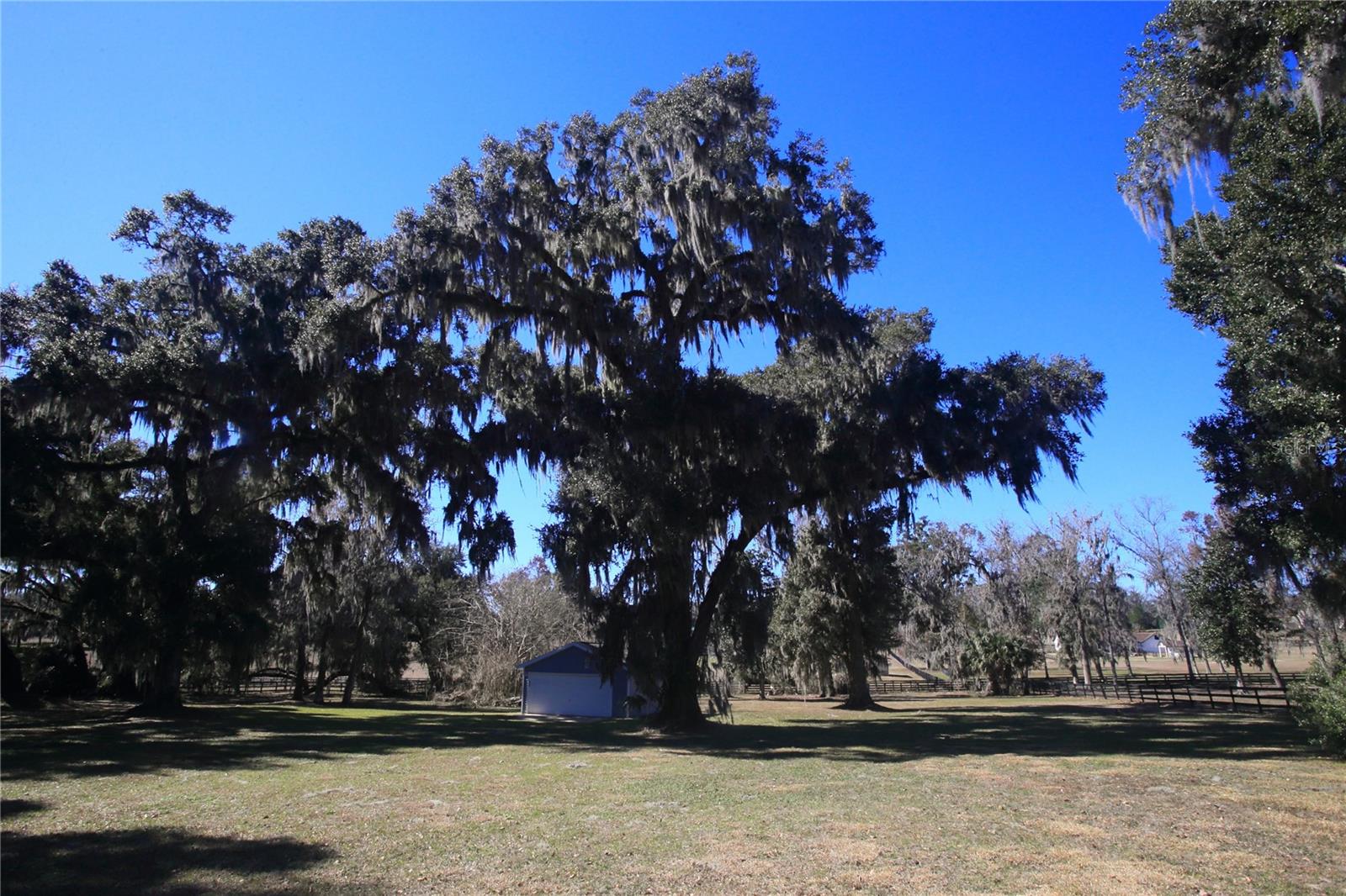 9340 SW 9TH TER, OCALA, FL, 34476