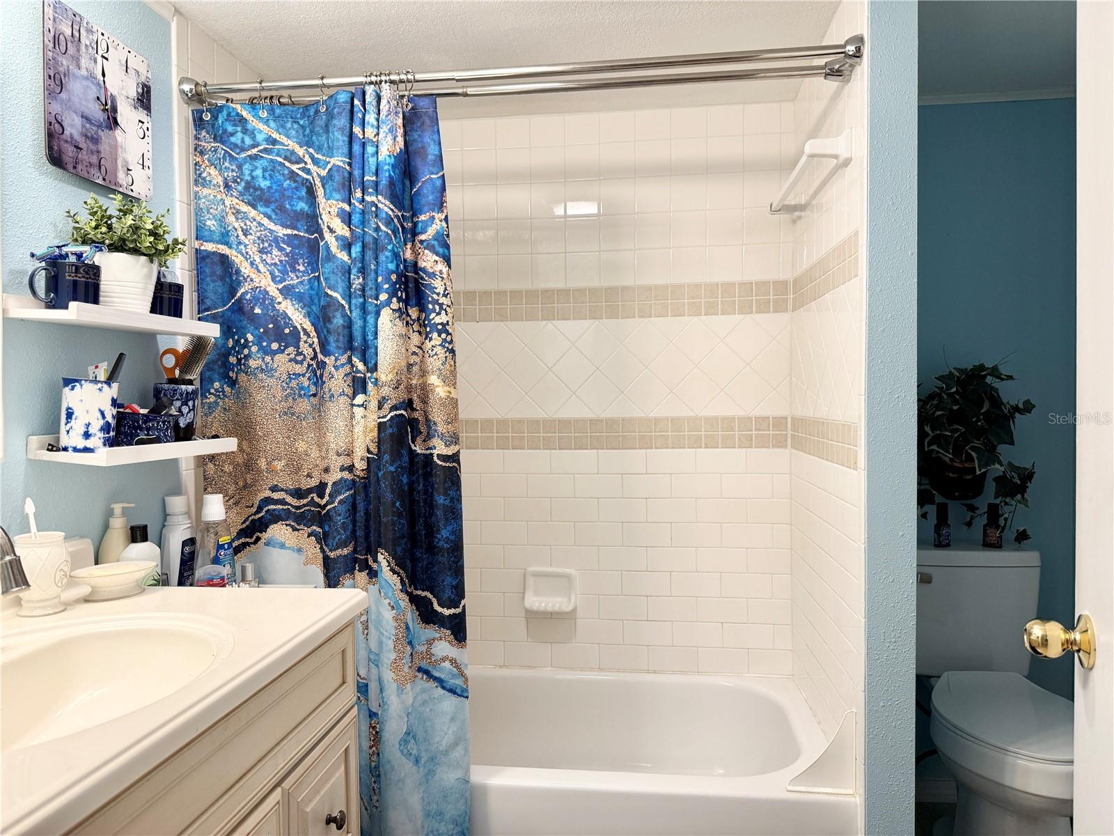 10538 BAY HILLS CIR, THONOTOSASSA, FL, 33592