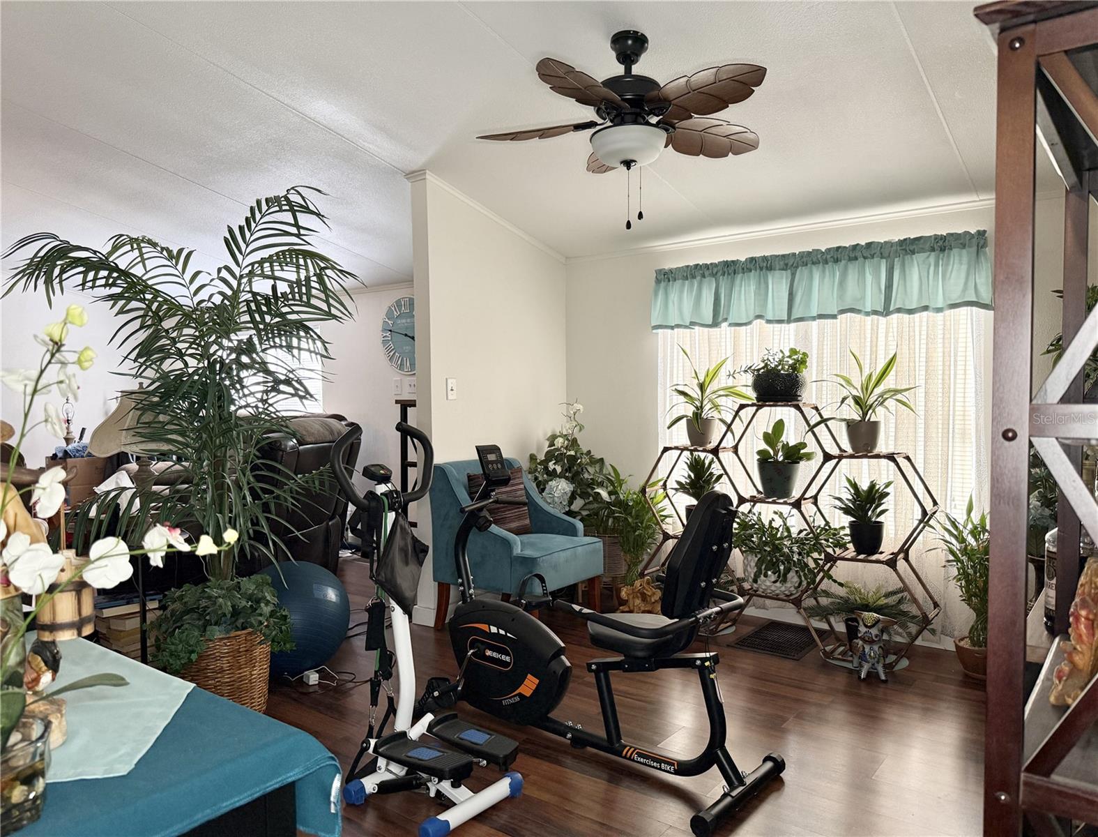 10538 BAY HILLS CIR, THONOTOSASSA, FL, 33592