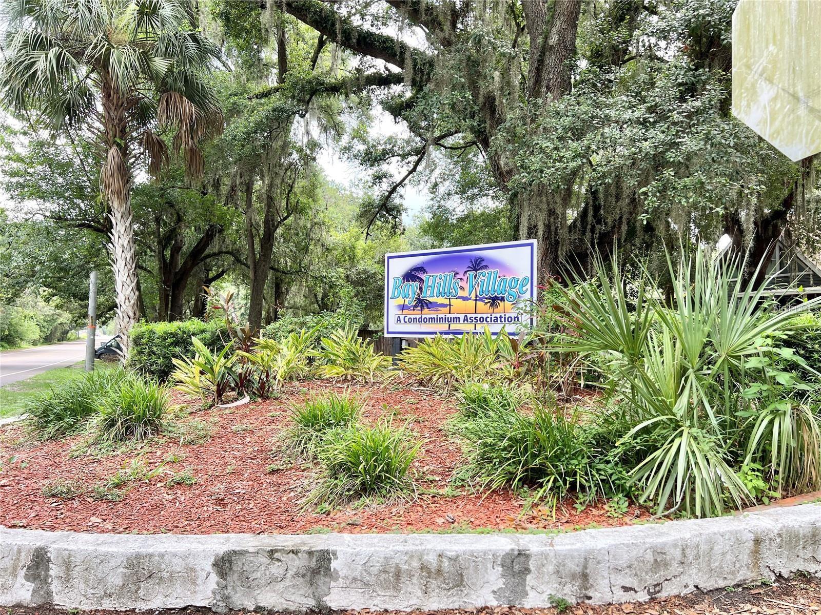 10538 BAY HILLS CIR, THONOTOSASSA, FL, 33592