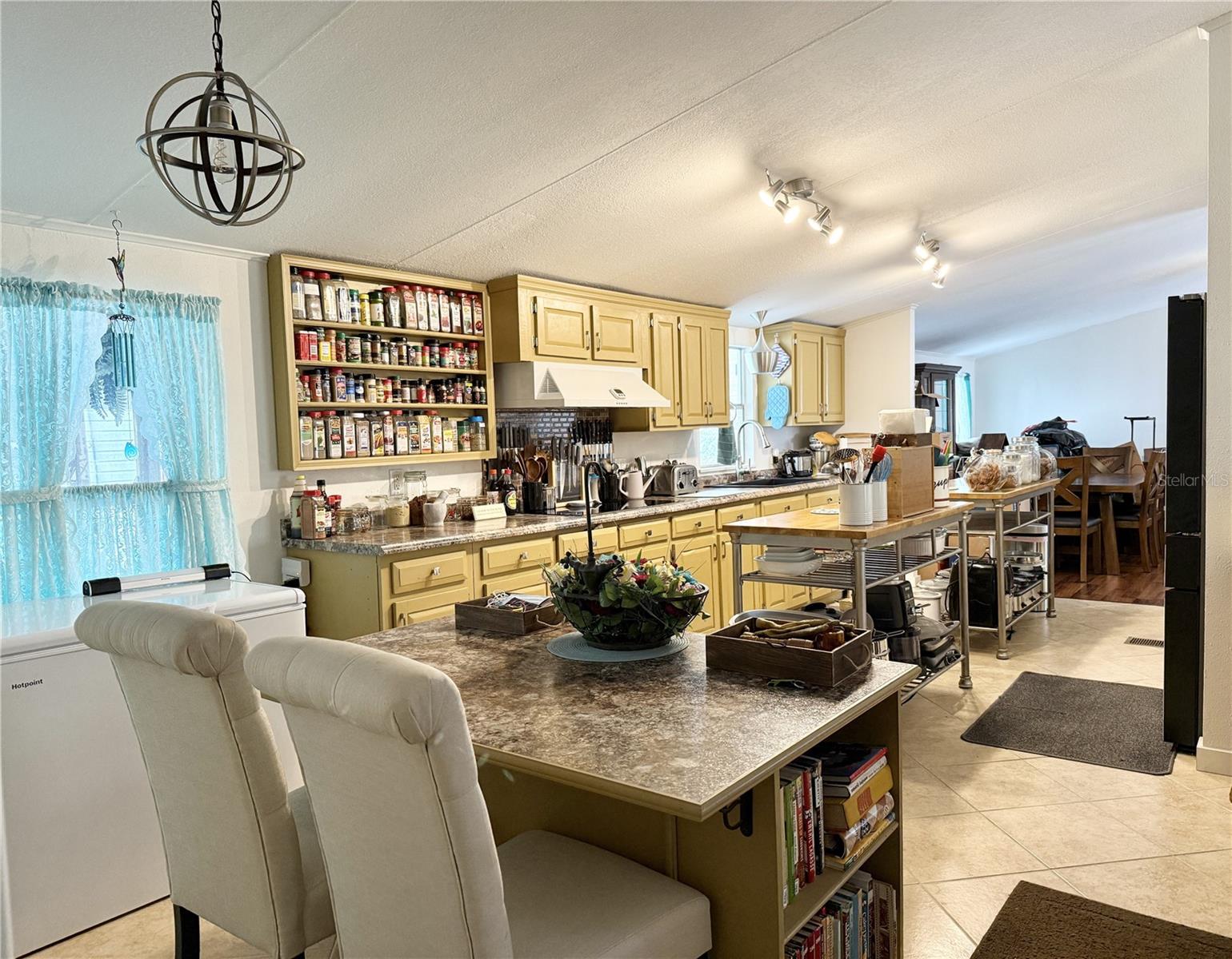10538 BAY HILLS CIR, THONOTOSASSA, FL, 33592