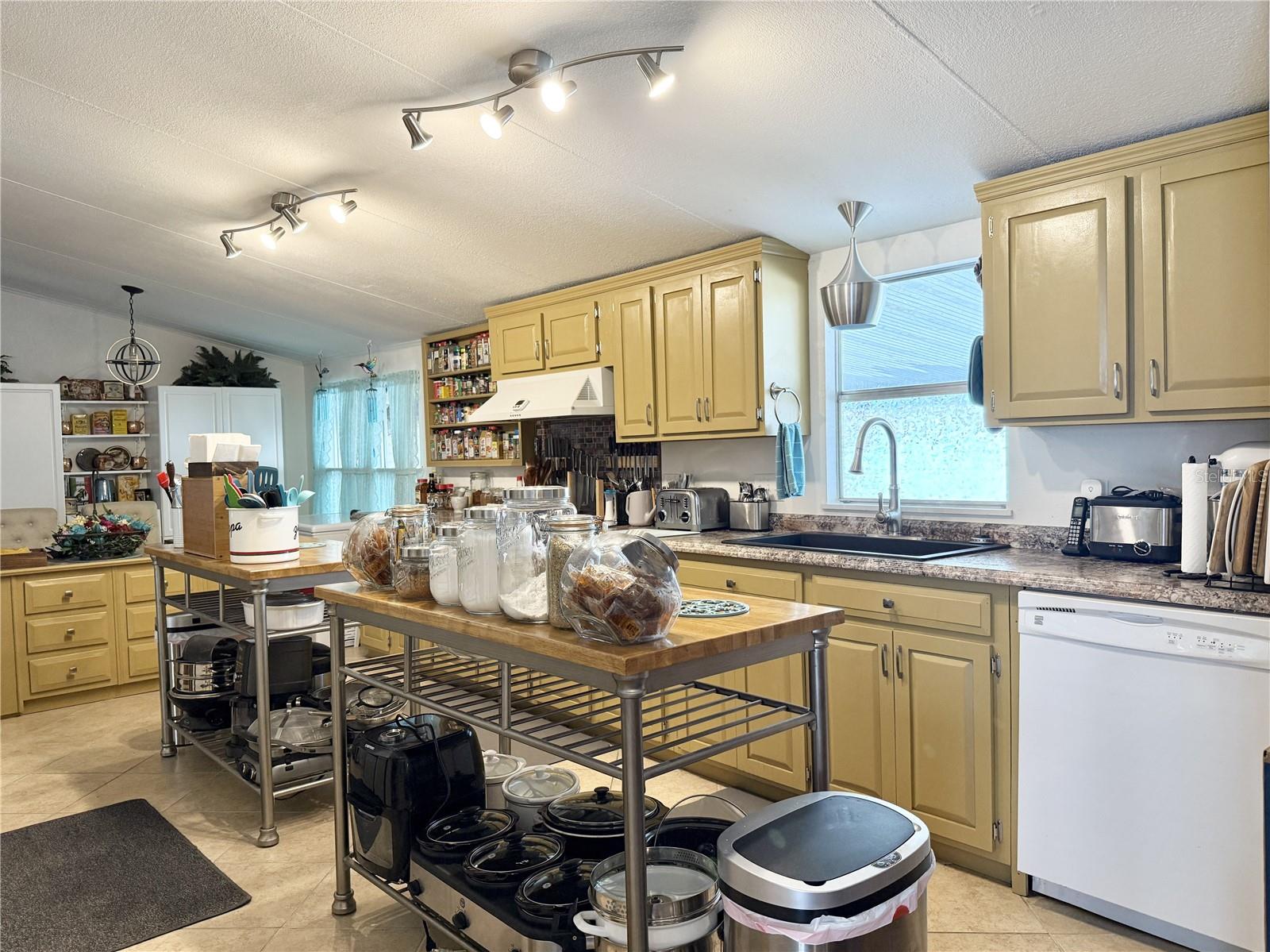 10538 BAY HILLS CIR, THONOTOSASSA, FL, 33592