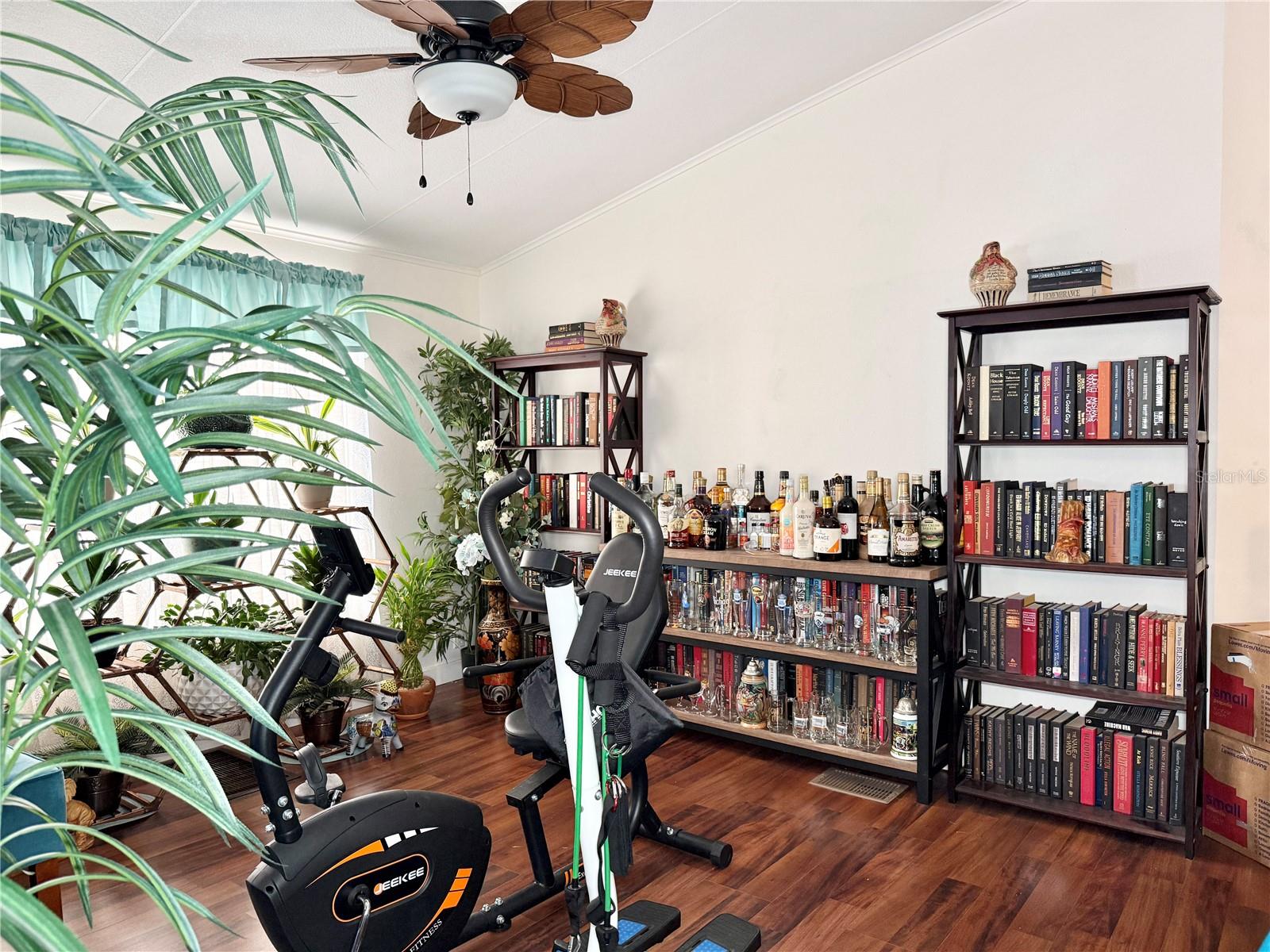 10538 BAY HILLS CIR, THONOTOSASSA, FL, 33592