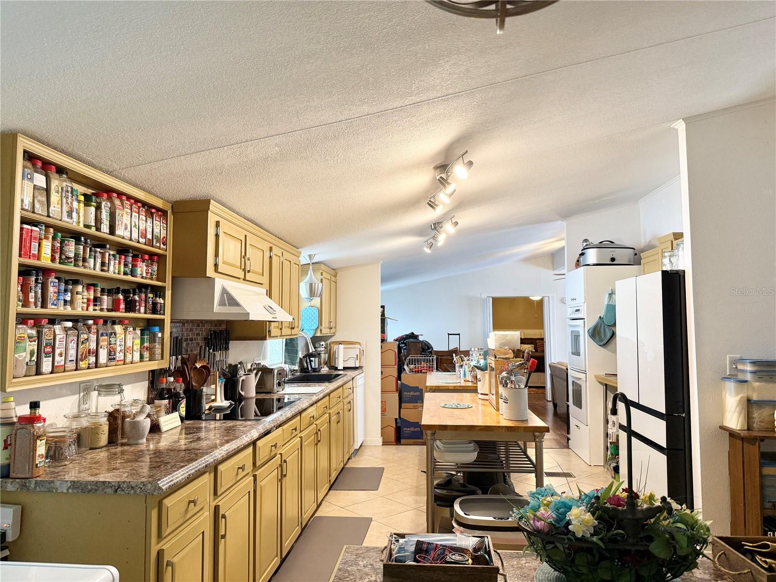 10538 BAY HILLS CIR, THONOTOSASSA, FL, 33592
