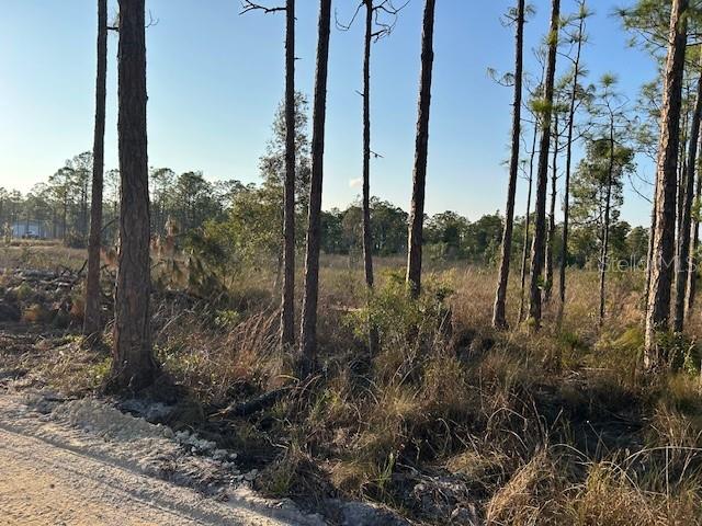 15271 RASMUSSEN RD, PUNTA GORDA, FL, 33982