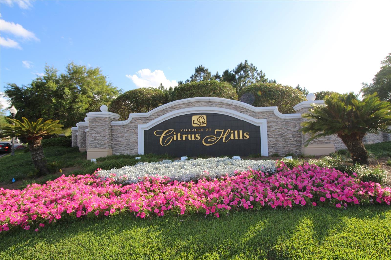 2045 N LAKECREST LOOP, HERNANDO, FL, 34442