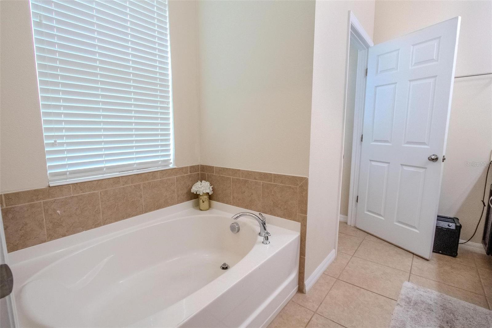 2820 AVIAN LOOP, KISSIMMEE, FL, 34741
