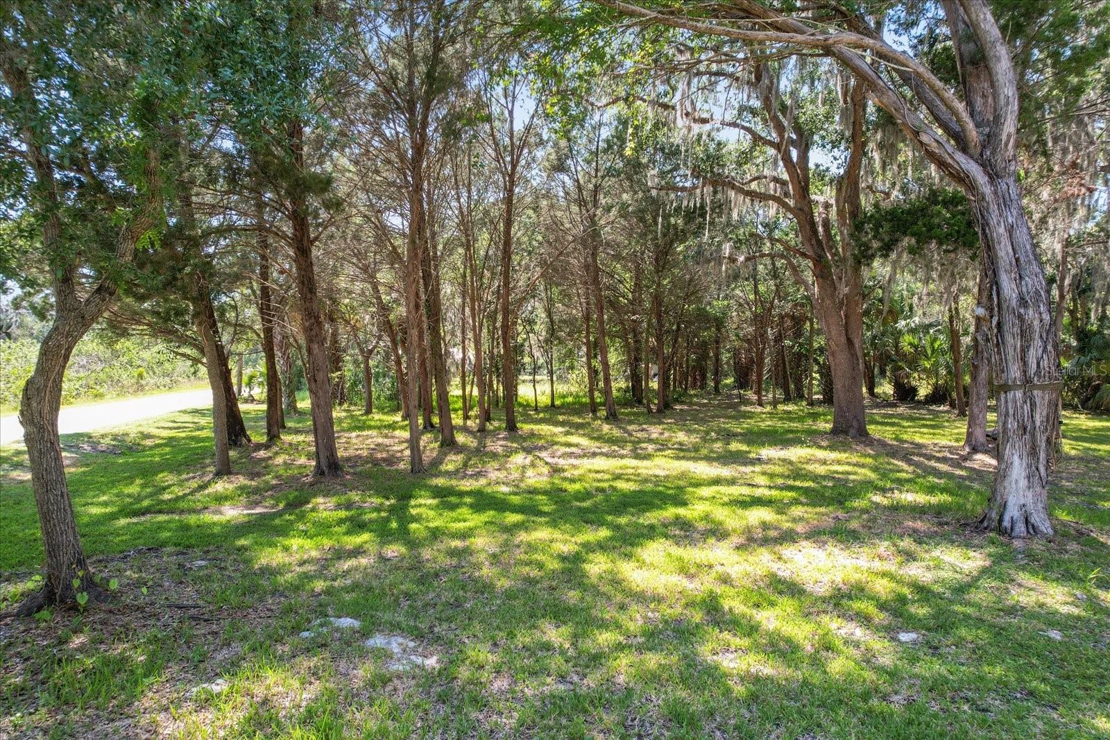 12167 & 12195 W Red Maple W RED MAPLE ST, HOMOSASSA, FL, 34448