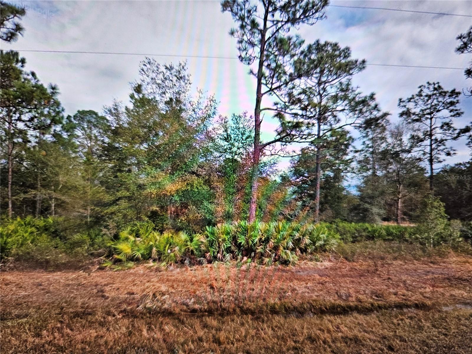 CREAGER AVE, INTERLACHEN, FL, 32148