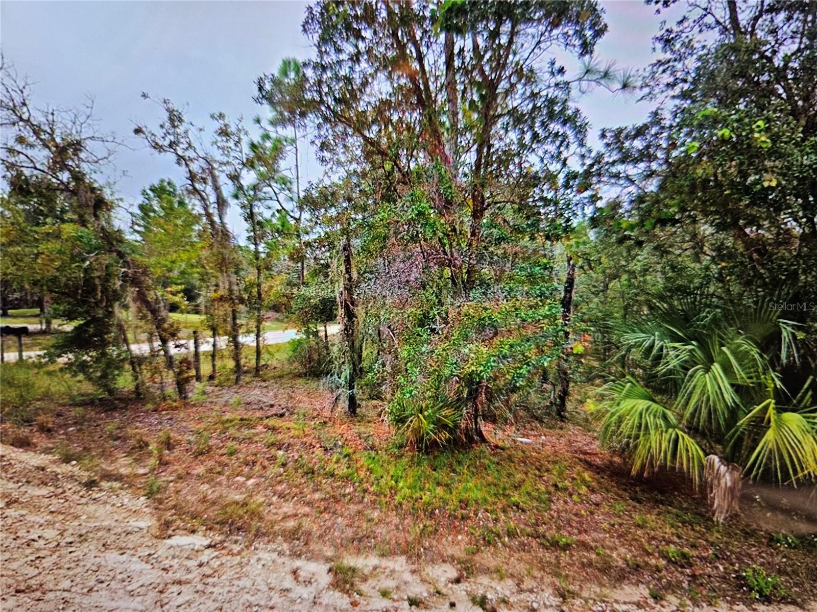 SE 4TH ST, WILLISTON, FL, 32696
