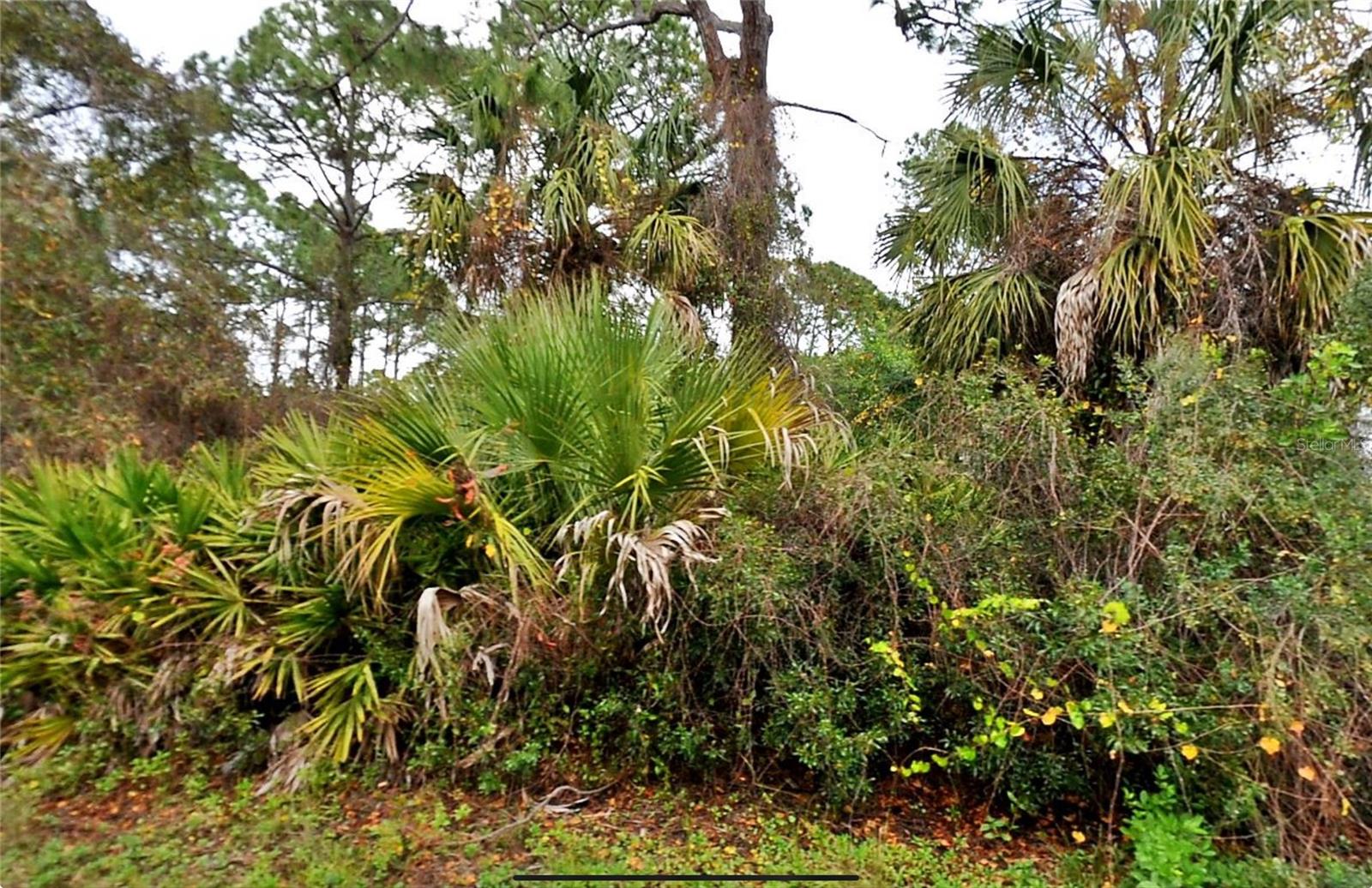 GRANITO AVE, NORTH PORT, FL, 34291