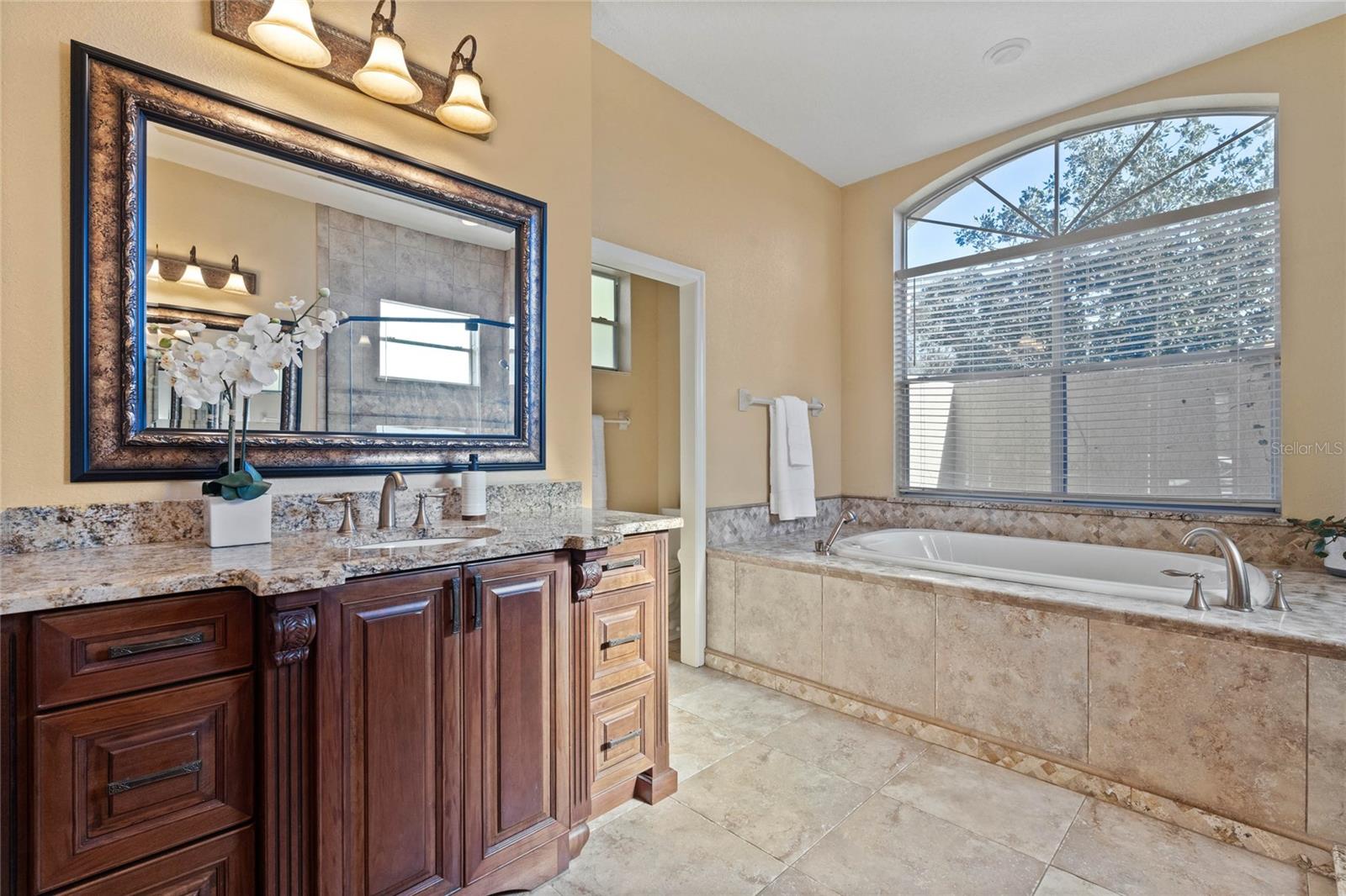 11359 WILLOW GARDENS DR, WINDERMERE, FL, 34786