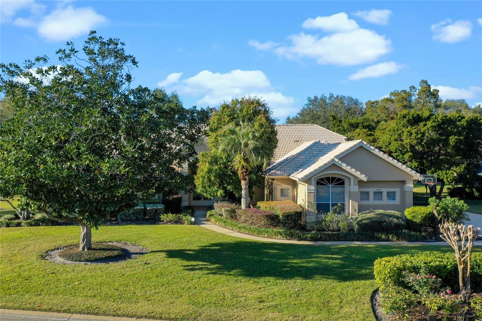 11359 WILLOW GARDENS DR, WINDERMERE, FL, 34786