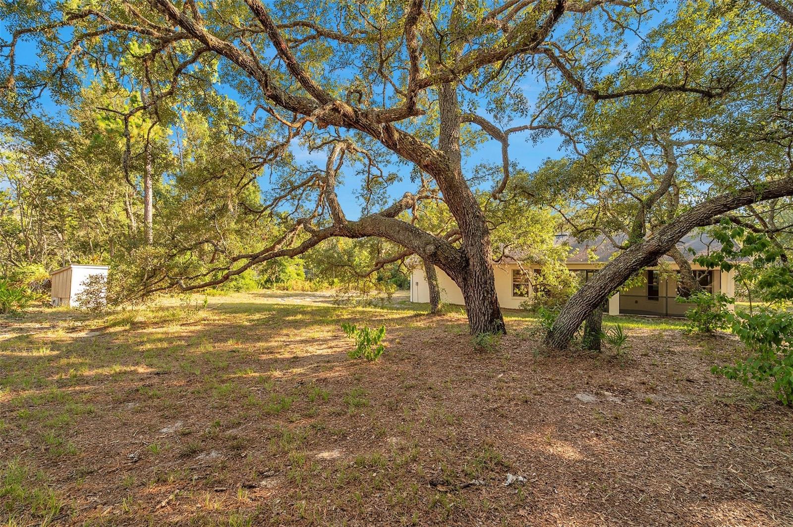 12240 EAKIN ST, WEEKI WACHEE, FL, 34614