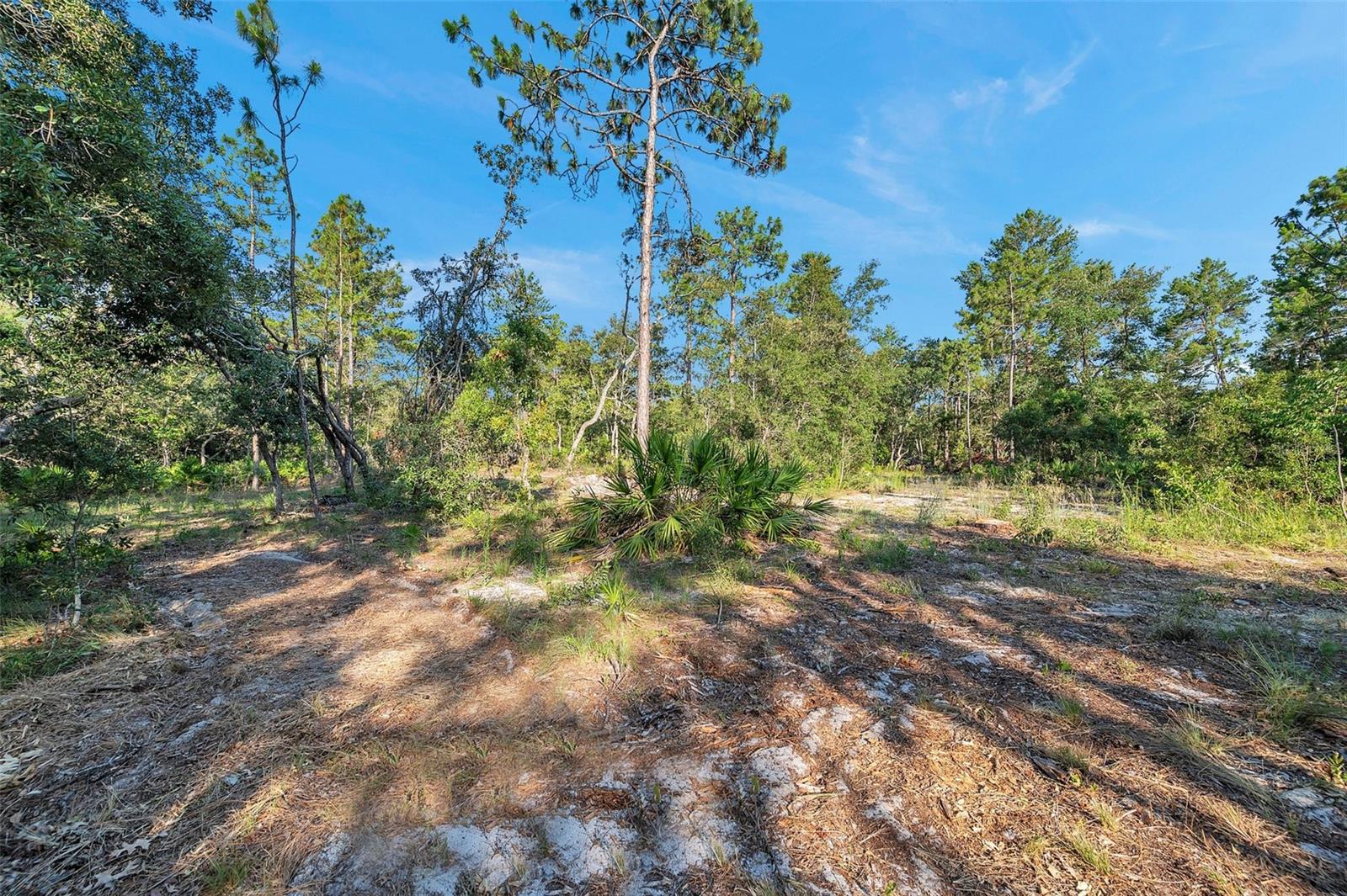 12240 EAKIN ST, WEEKI WACHEE, FL, 34614