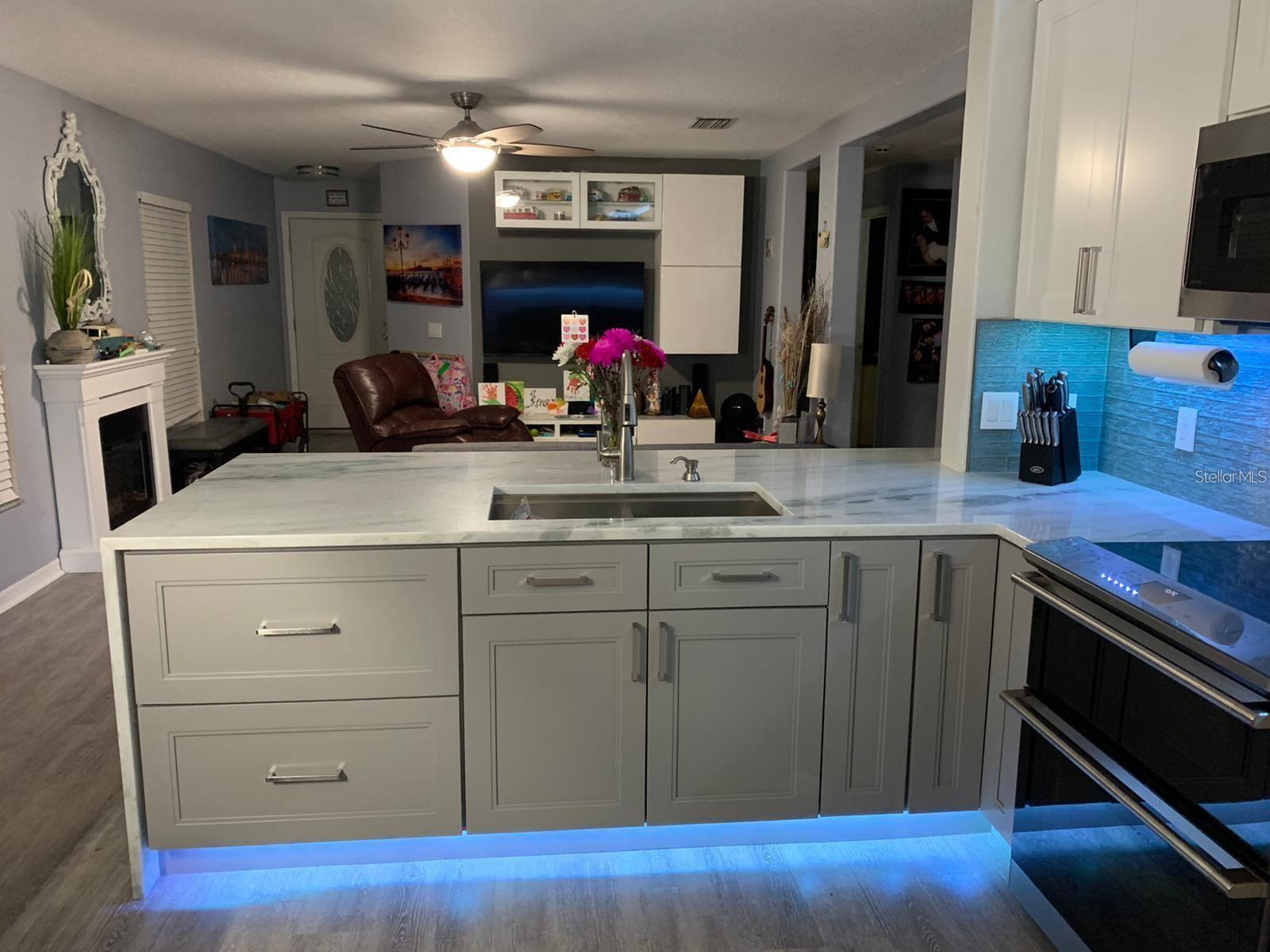 11719 MANGO GROVES BLVD, SEFFNER, FL, 33584