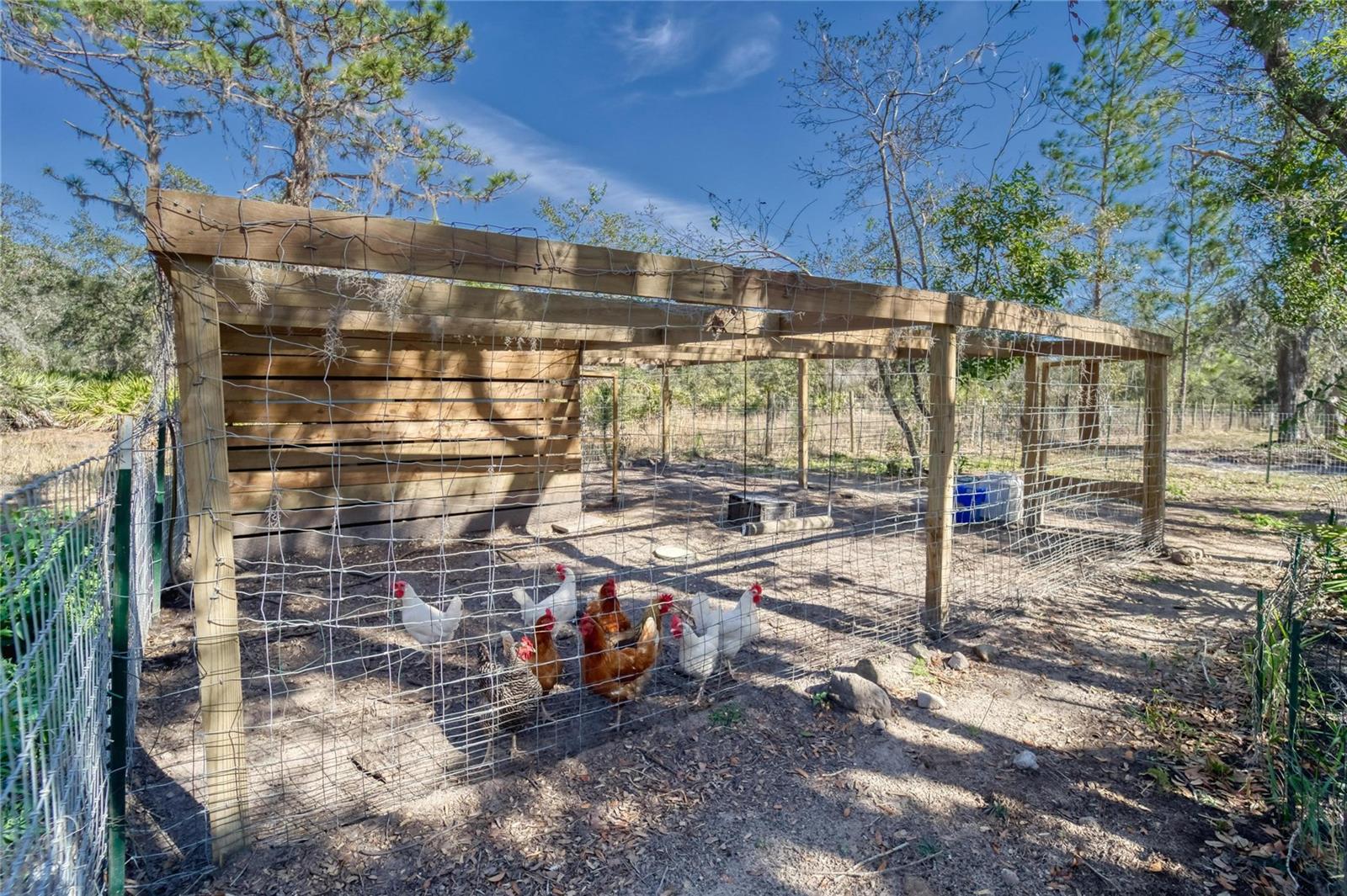 13215 SEMINOLE TRL, WIMAUMA, FL, 33598