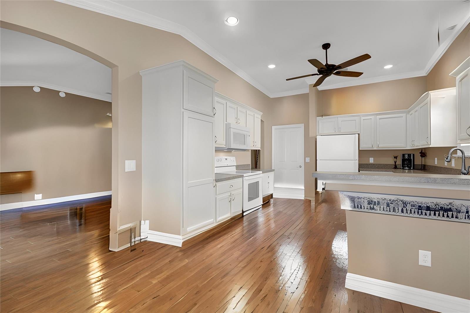 16967 SE 93RD CUTHBERT CIR, THE VILLAGES, FL, 32162