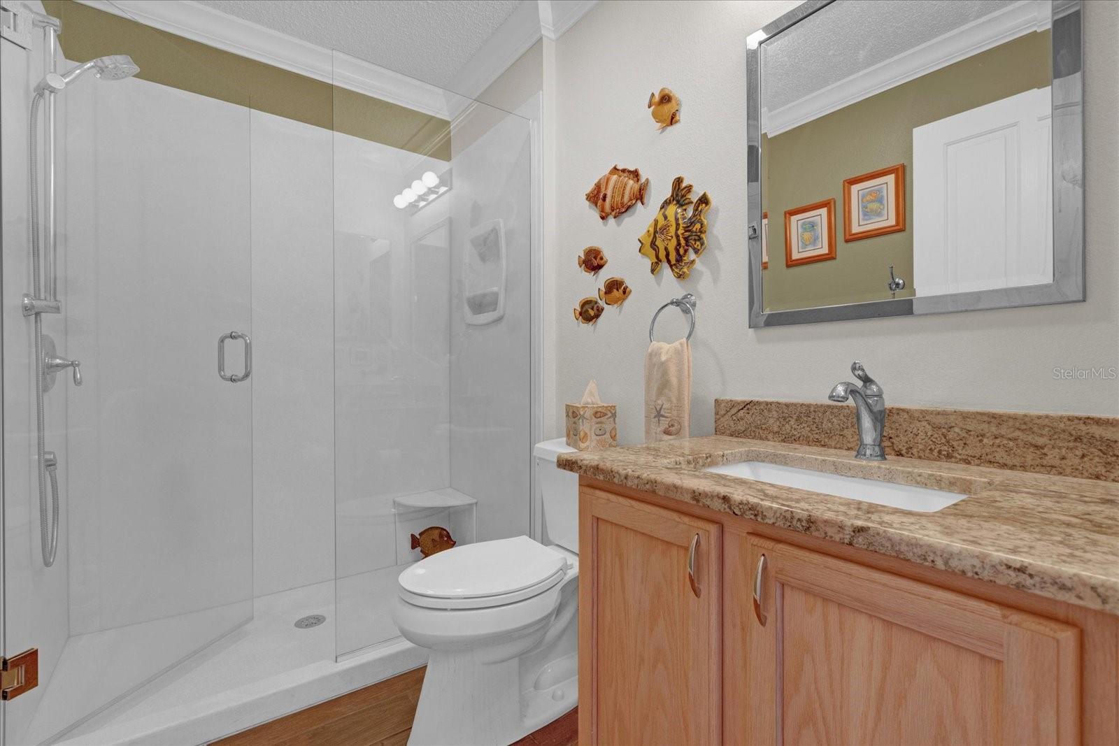 16967 SE 93RD CUTHBERT CIR, THE VILLAGES, FL, 32162