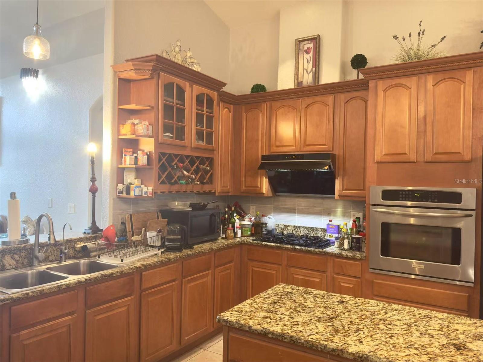 10537 SKY FLOWER CT, LAND O LAKES, FL, 34638