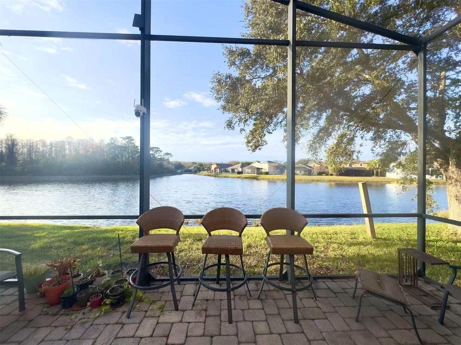 10537 SKY FLOWER CT, LAND O LAKES, FL, 34638