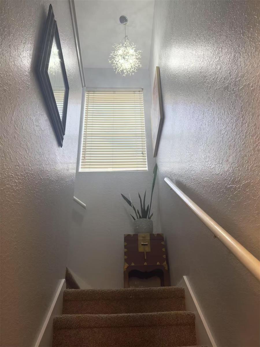 10537 SKY FLOWER CT, LAND O LAKES, FL, 34638