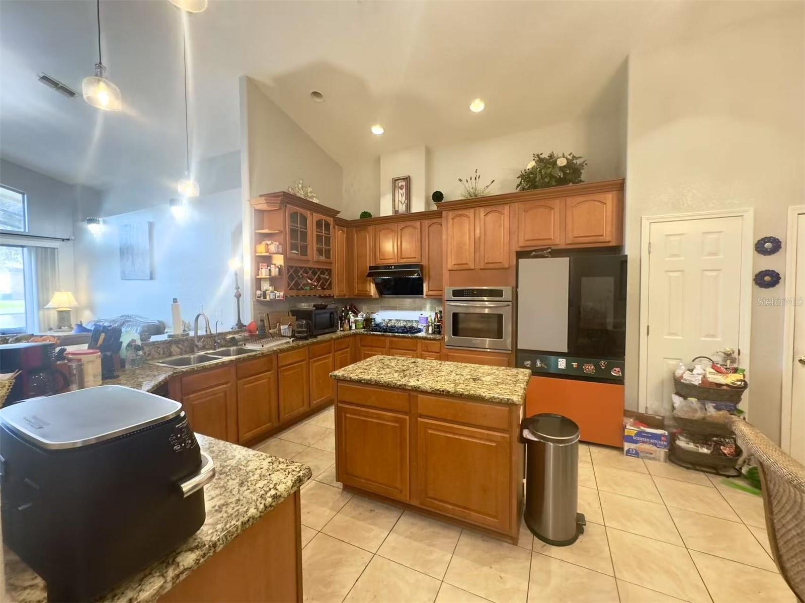 10537 SKY FLOWER CT, LAND O LAKES, FL, 34638