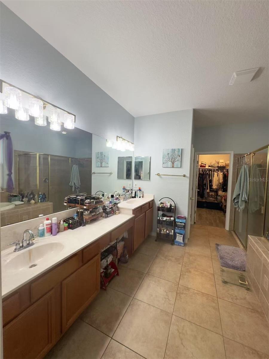 10537 SKY FLOWER CT, LAND O LAKES, FL, 34638