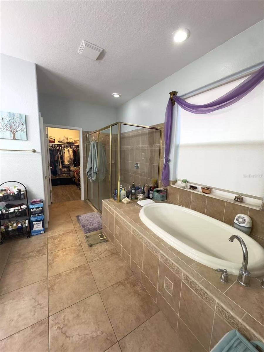 10537 SKY FLOWER CT, LAND O LAKES, FL, 34638