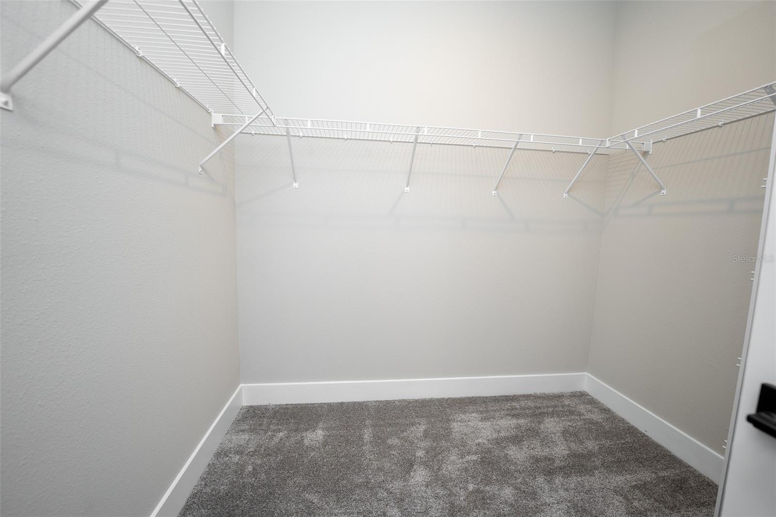 14355 BRAEMAR ST, WINTER GARDEN, FL, 34787