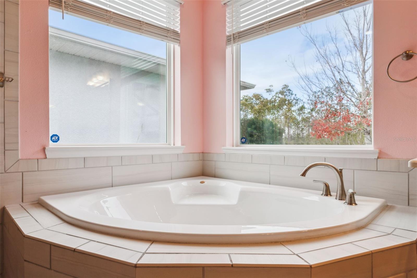 4449 TOUR TRCE, LAND O LAKES, FL, 34638