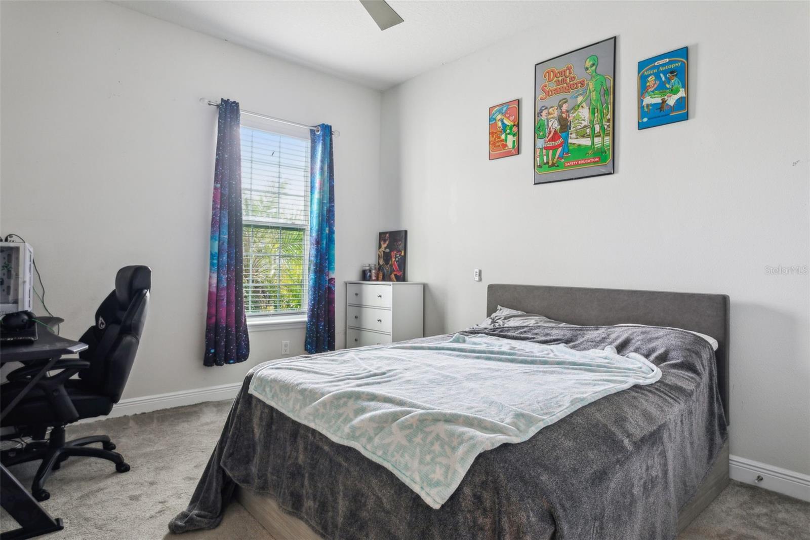 4449 TOUR TRCE, LAND O LAKES, FL, 34638